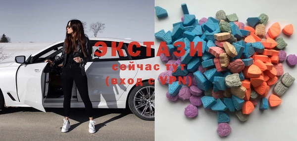 ECSTASY Богородск